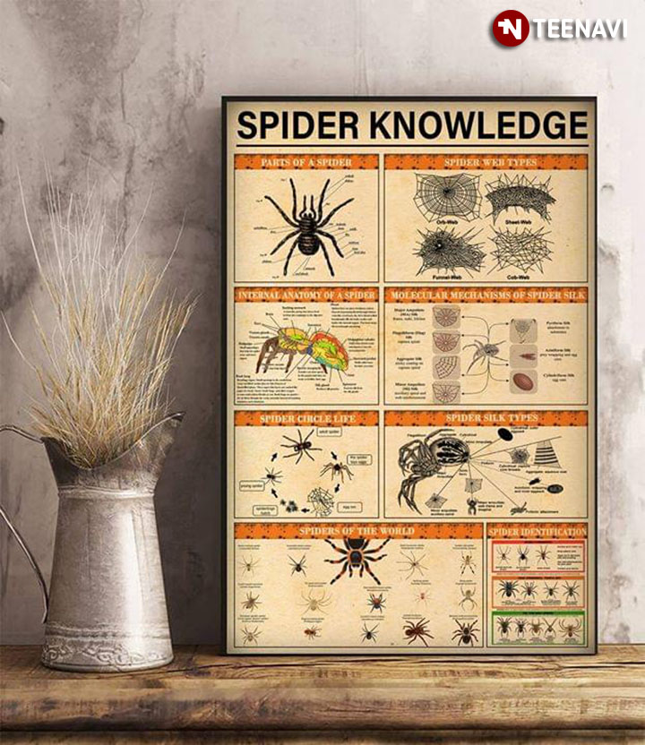 Spider Knowledge