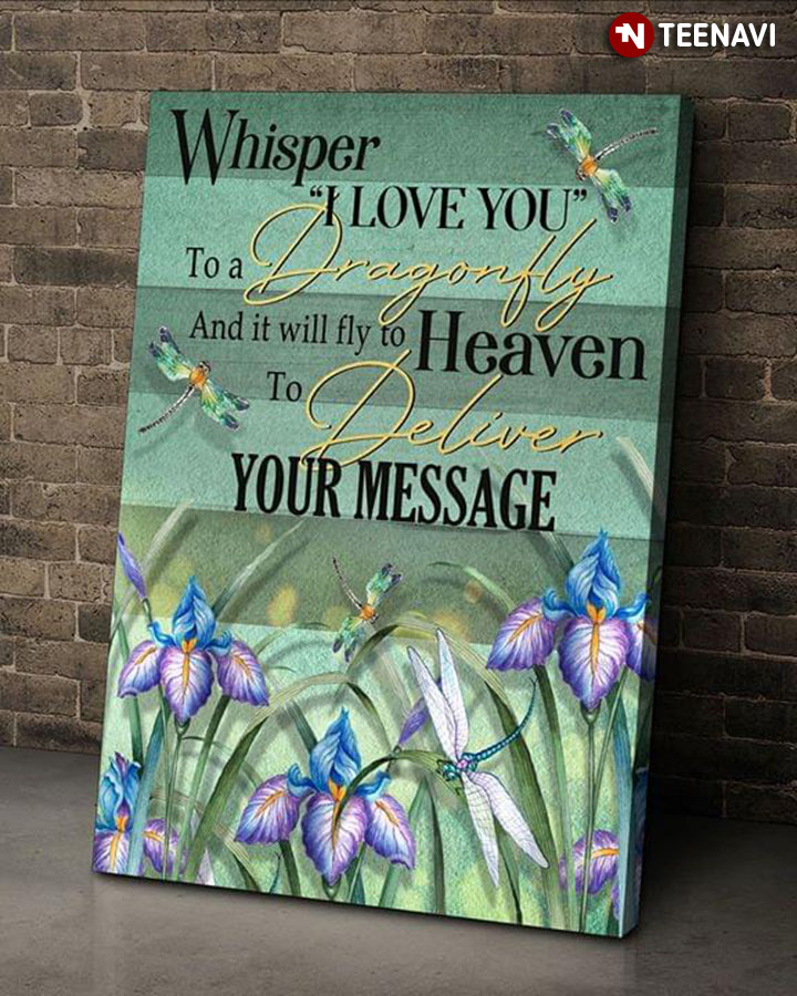 Dragonflies Flying Around Whisper I Love You To A Dragonfly And It Will Fly To Heaven And Deliver Your Message