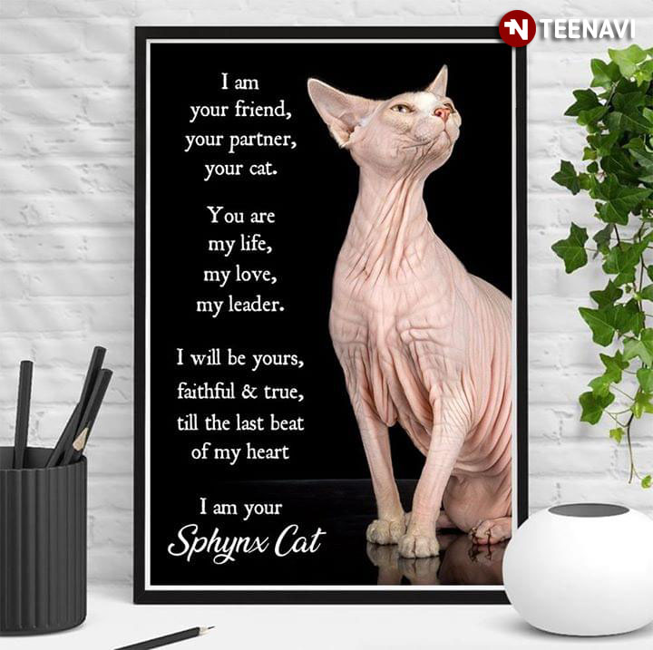 Sphynx Cat I Am Your Friend, Your Partner, Your Cat