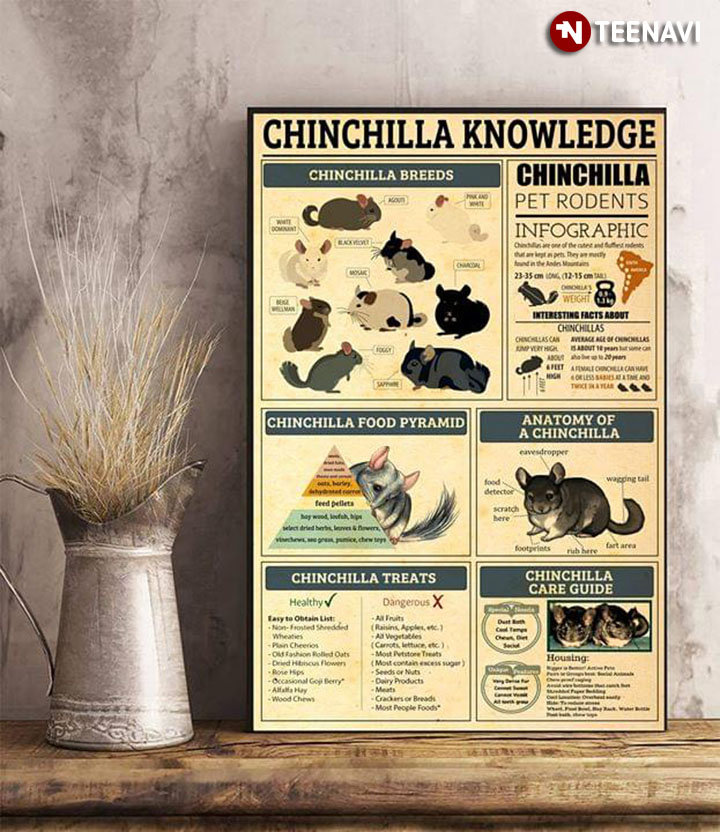 Chinchilla Knowledge