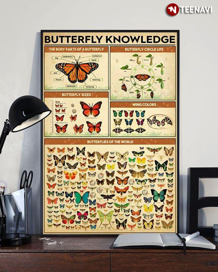 Butterfly Knowledge