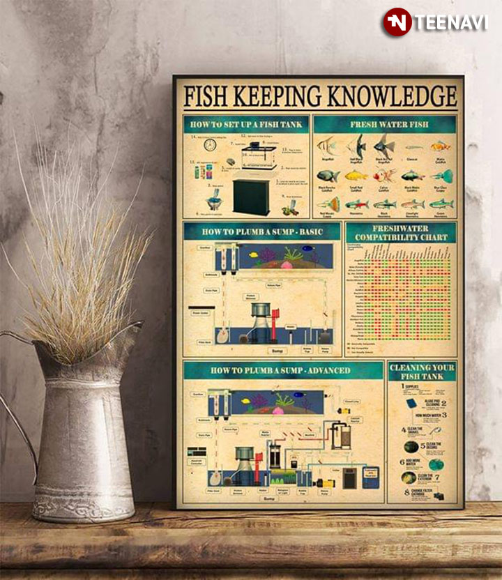 Fish Keeping Knowledge