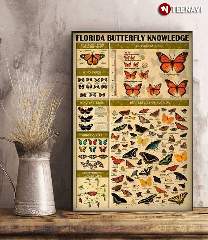 Florida Butterfly Knowledge