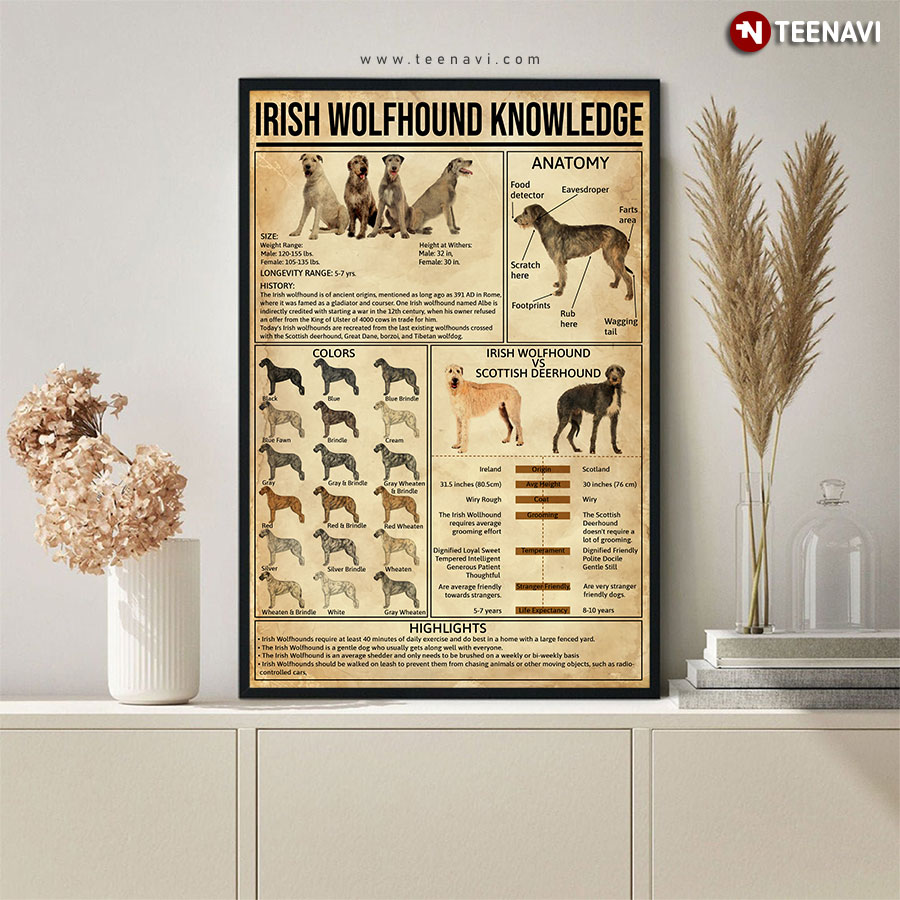 Irish Wolfhound Knowledge Poster