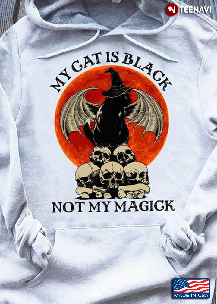 Full Moon Black Cat With Wings And Skulls My Cat Í Black Not My Magick