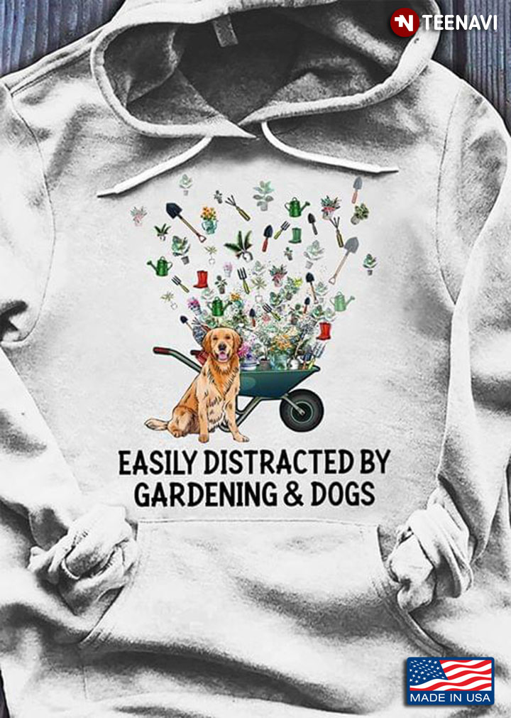 Golden Retriever Easily Distracted By Gardenning And Dogs