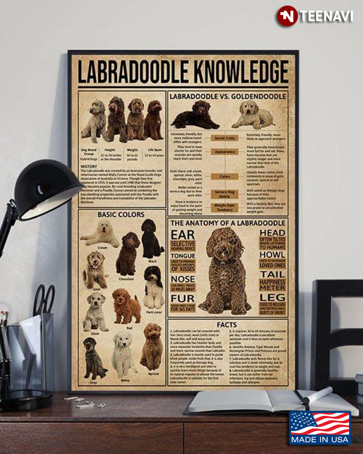 Labradoodle Knowledge