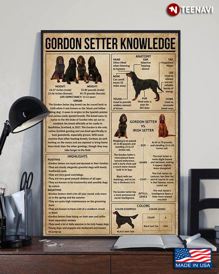Gordon Setter Knowledge