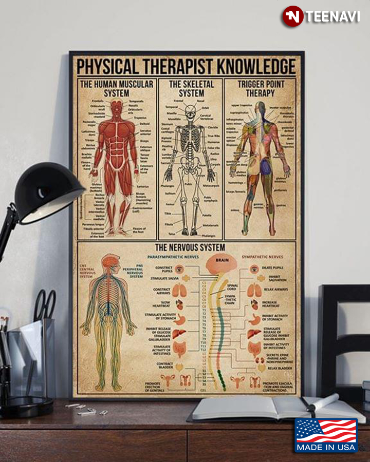 Physical Therapist Knowledge