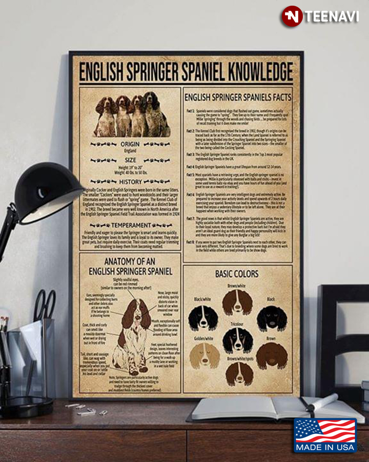 English Springer Spaniel Knowledge