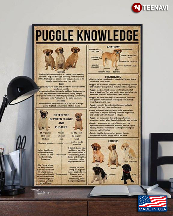 Puggle Knowledge