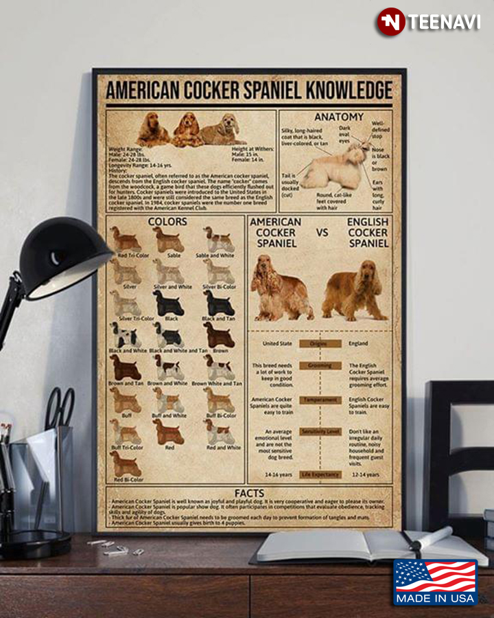 American Cocker Spaniel Knowledge