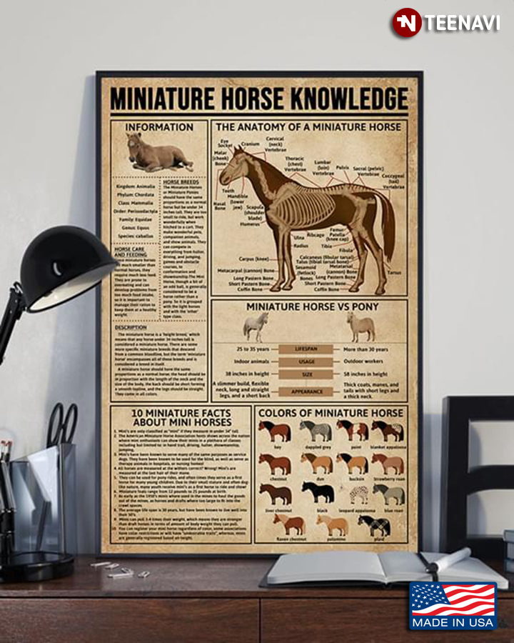 Miniature Horse Knowledge