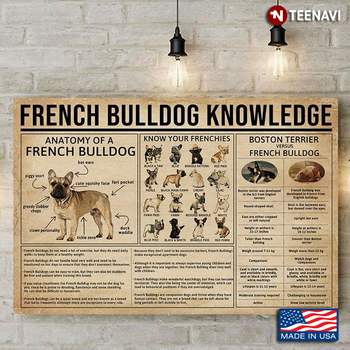 French Bulldog Knowledge Poster Poster Art Print Gift For Your Parent