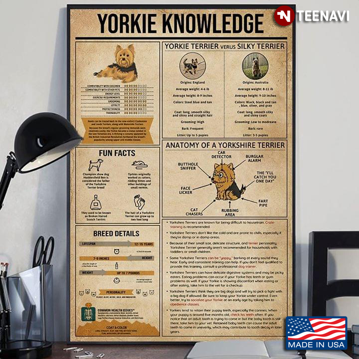 Yorkie Knowledge