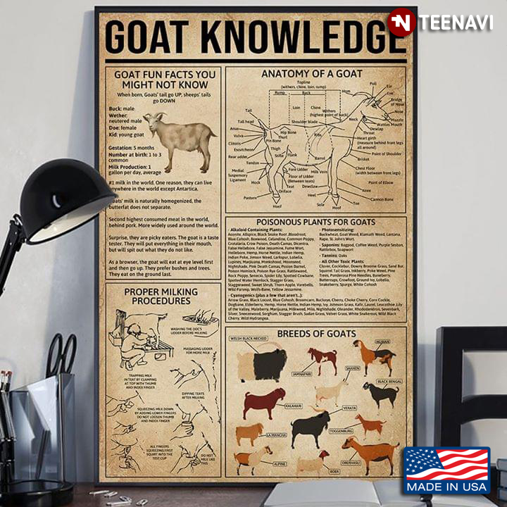 New Version Goat Knowledge