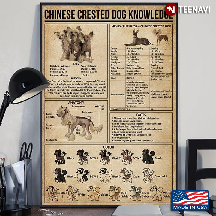 Chinese Crested Dog Knowledge