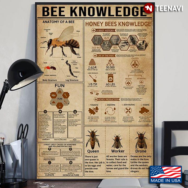 New Version Bee Knowledge
