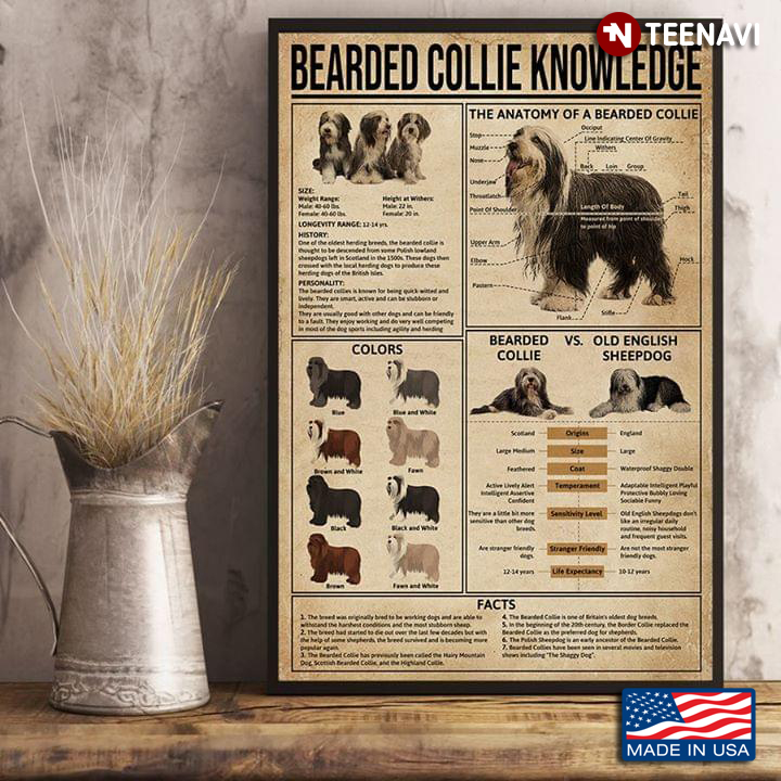 Bearded Collie Knowledge