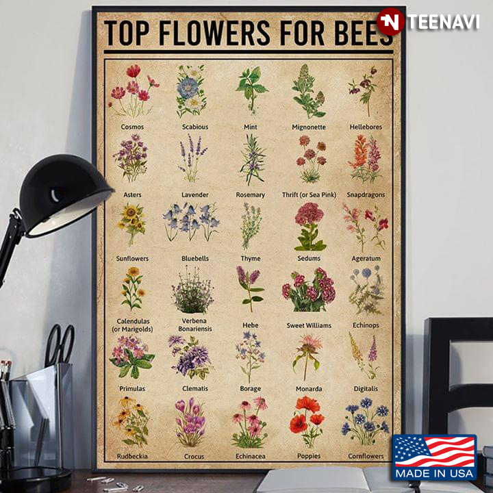 Top Flowers For Bees