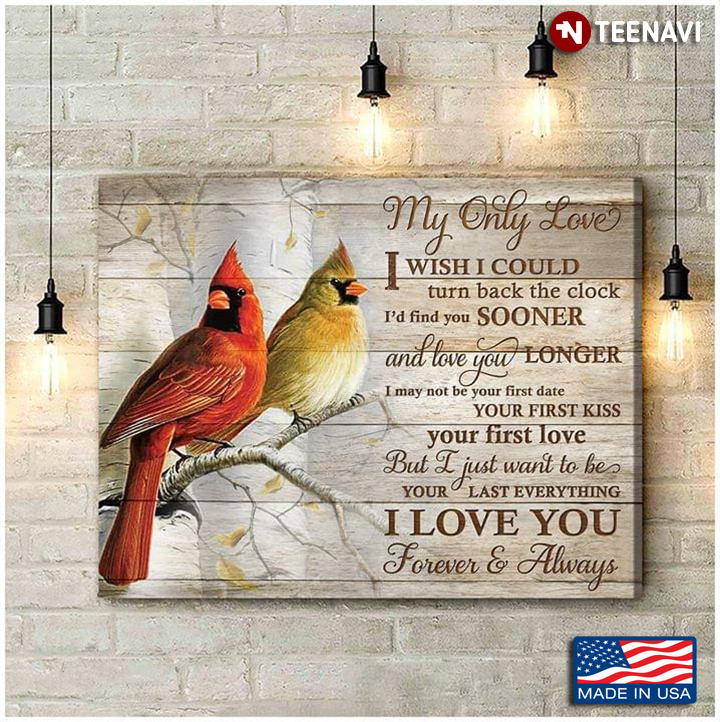 Cardinals My Only Love I Wish I Could Turn Back The Clock I'd Find You  Sooner Canvas Poster - TeeNavi