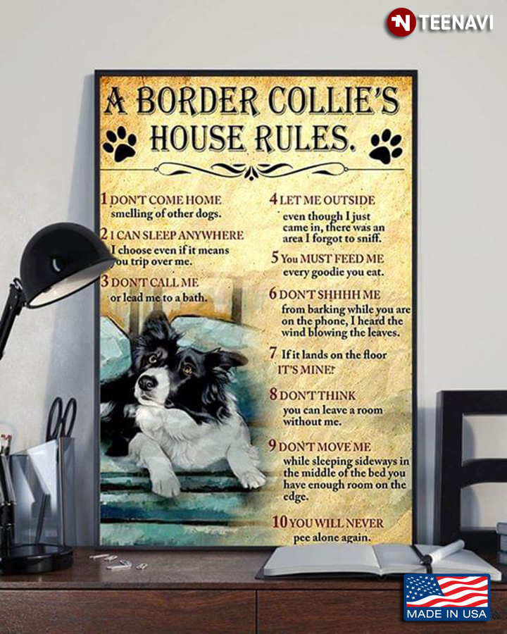 Funny A Border Collie’s House Rules