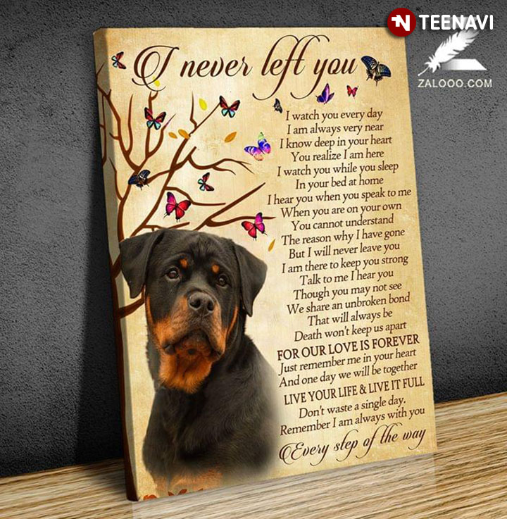 Rottweiler And Butterflies I Never Left You I Watch You Everyday I Am Always Very Near