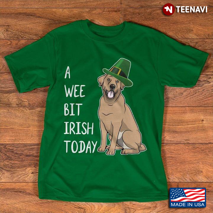 Labrador Dog A Wee Bit Irish Today