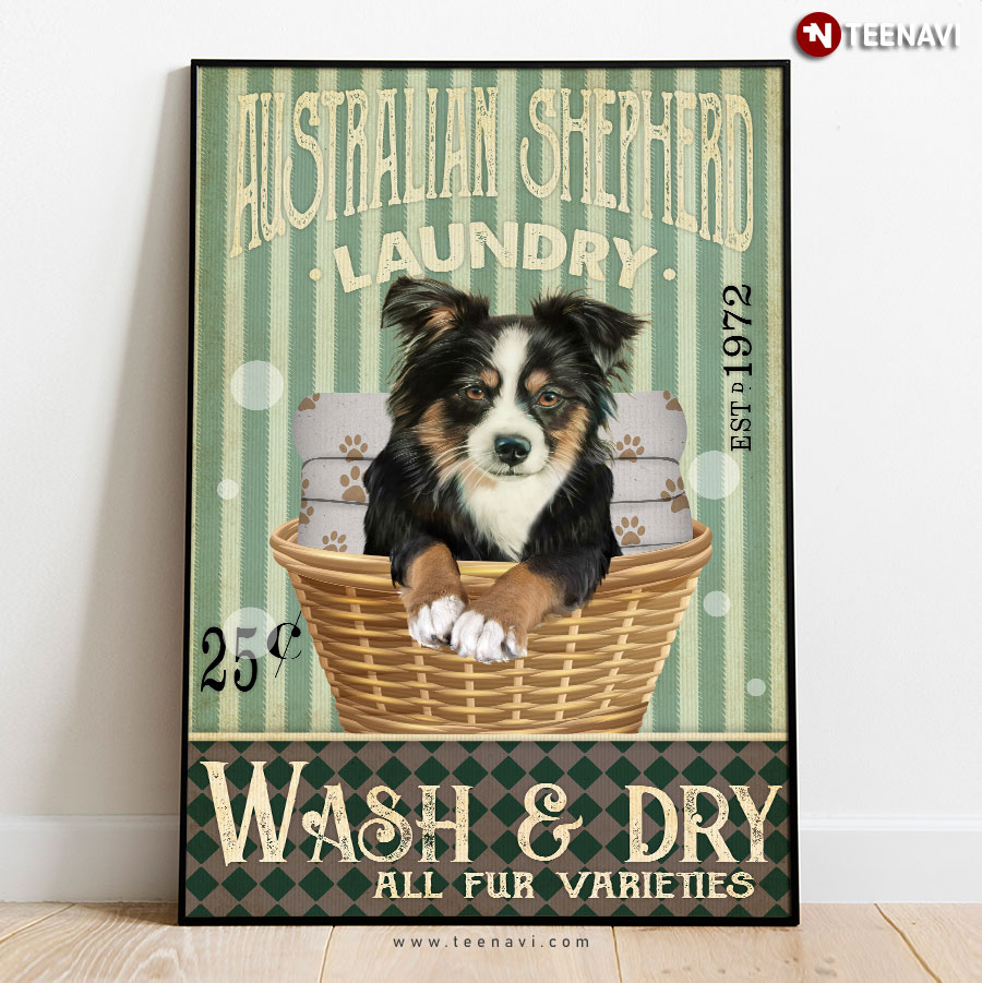 Vintage Australian Shepherd Laundry Est.1972 Wash & Dry All Fur Varieties Poster