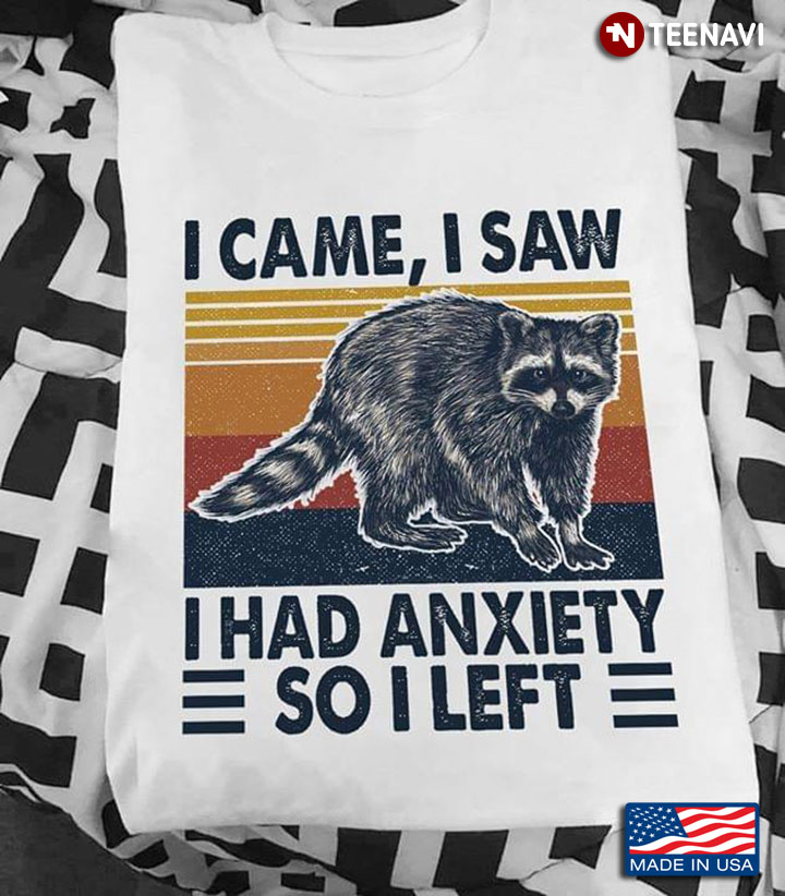Raccoon I Came I Saw I Had Anxiety So I Left