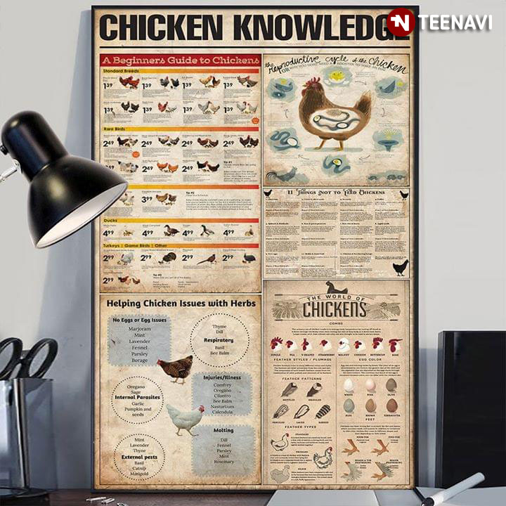 Basic Chicken Knowledge