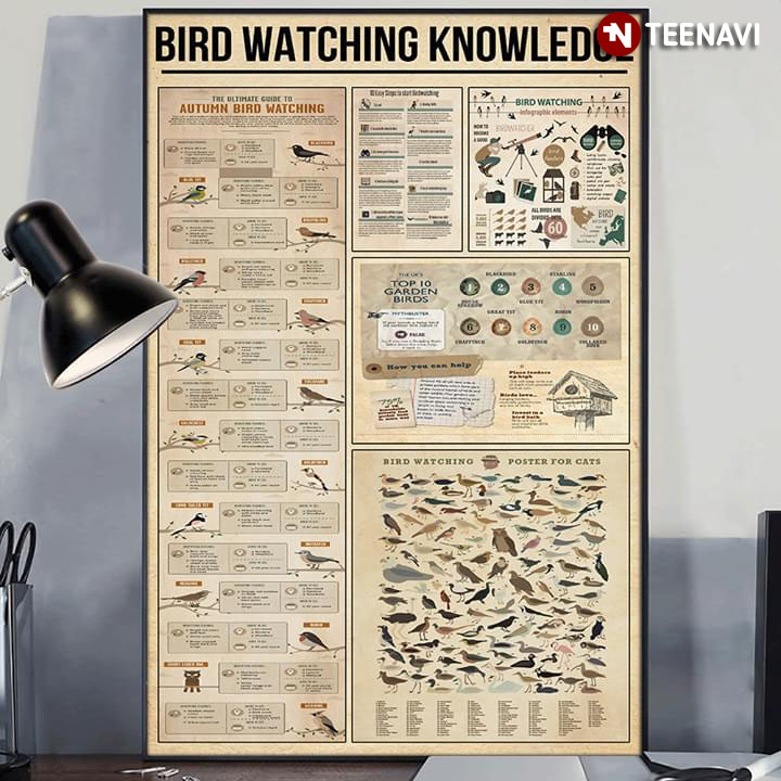 Bird Watching Knowledge