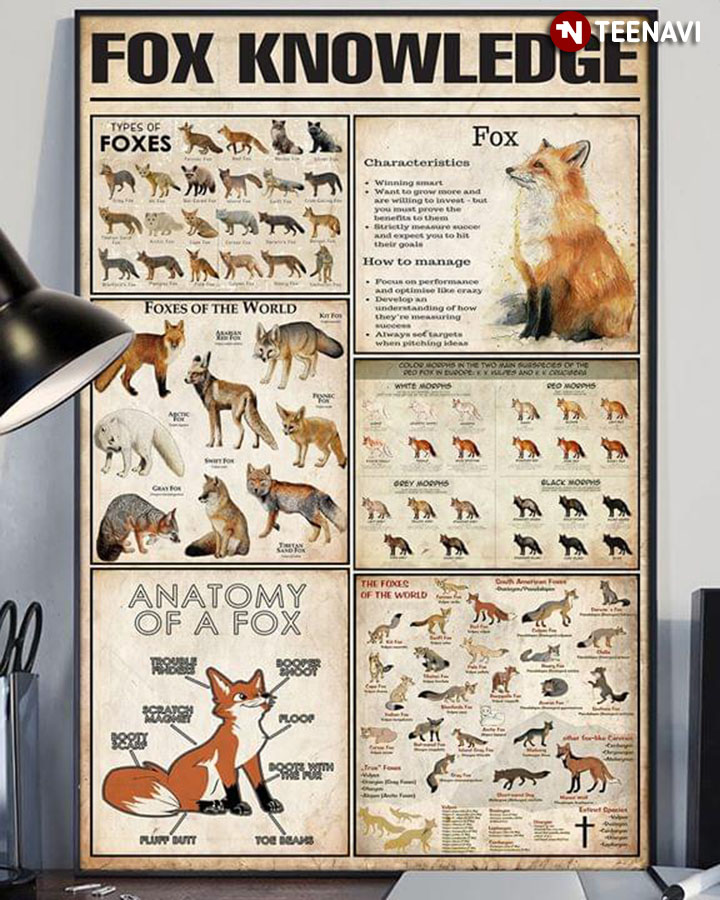 New Version Fox Knowledge