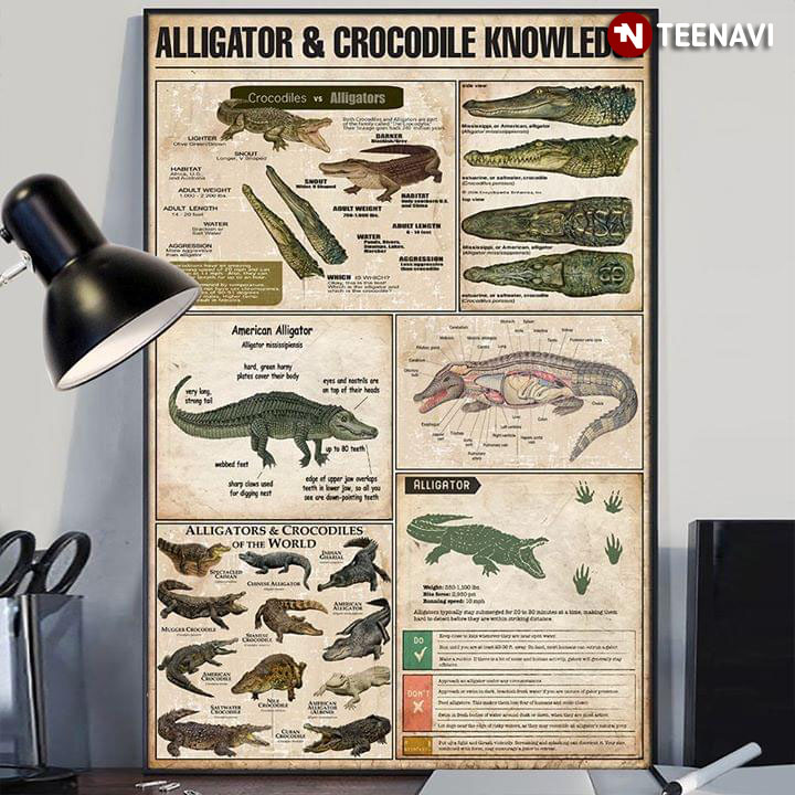 Alligator & Crocodile Knowledge