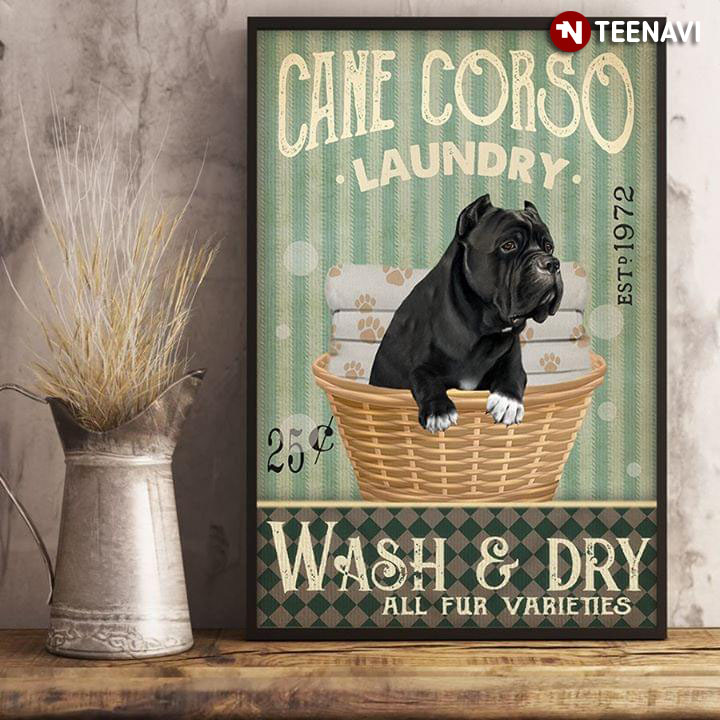 Vintage Cane Corso Laundry Est. 1972 Wash & Dry All Fur Varieties