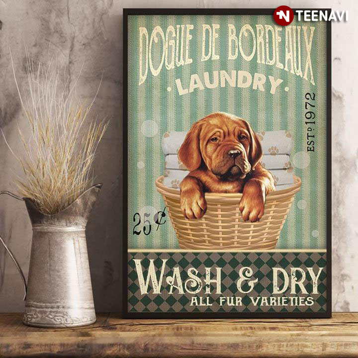 Vintage Dogue De Bordeaux Laundry Est. 1972 Wash & Dry All Fur Varieties
