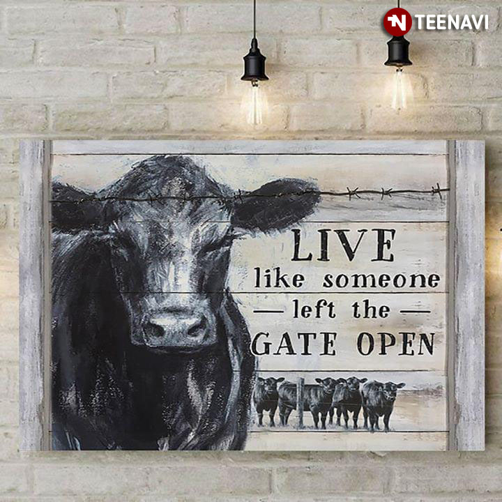 Funny Black Cows Live Like Someone Left The Gate Open