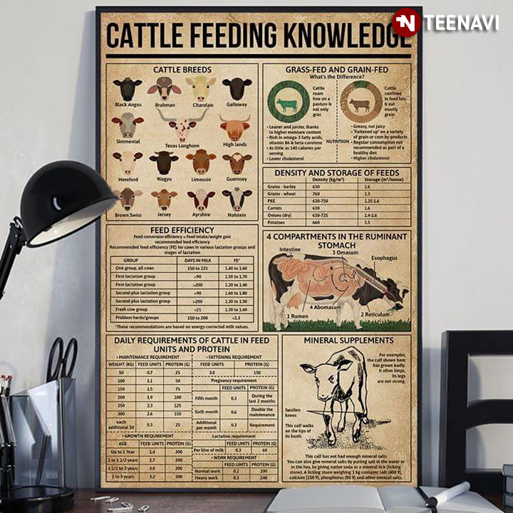 Cattle Feeding Knowledge