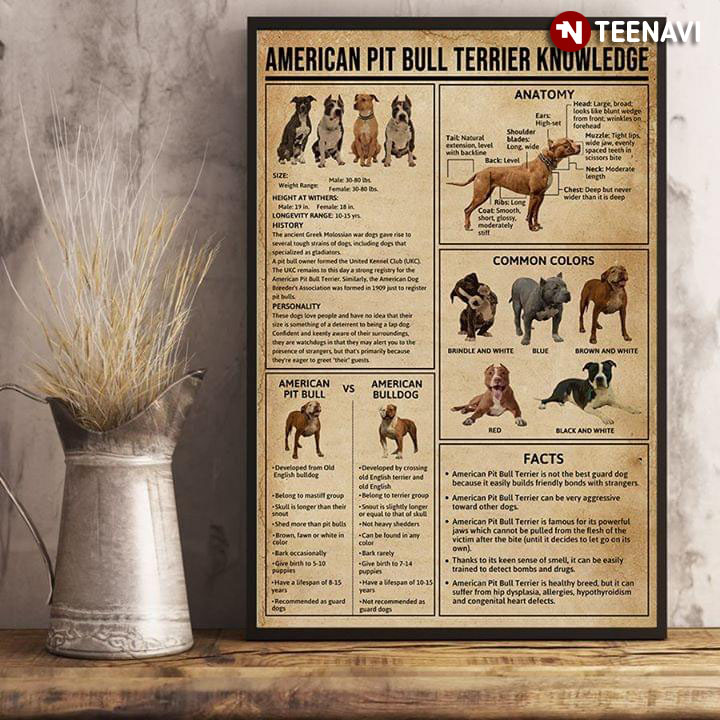 American Pit Bull Terrier Knowledge