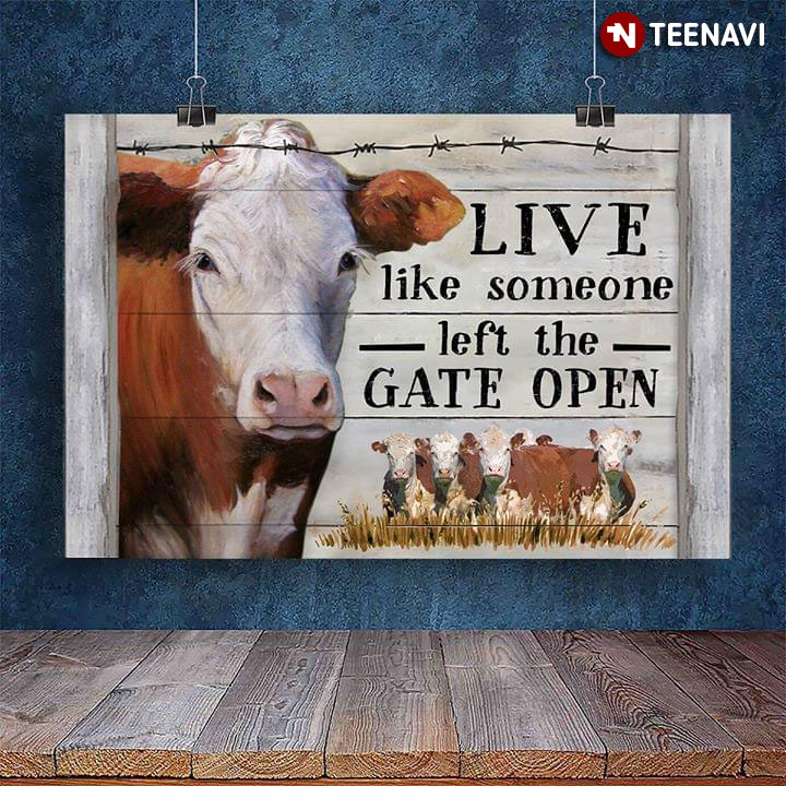 Funny Brown & White Cows On Farm Live Like Someone Left The Gate Open