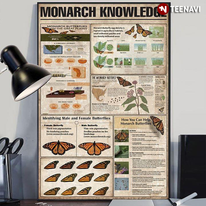 Monarch Knowledge