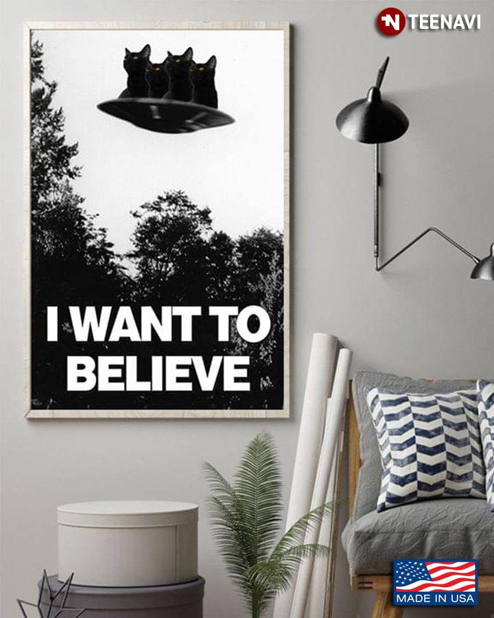 Vintage The X Files & Black Cat Mulders Office Tv Show I Want To Believe