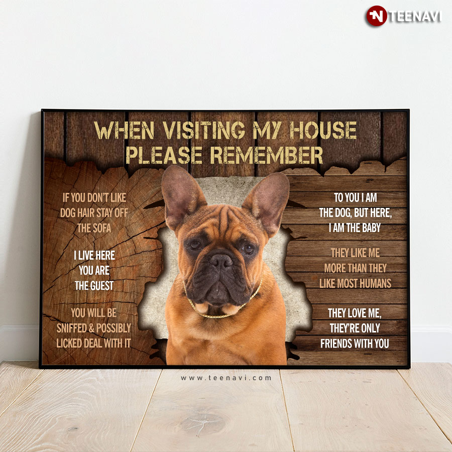 Vintage French Bulldog When Visiting My House Please Remember If You Don’t Like Dog Hair Poster