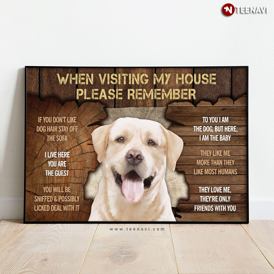 Vintage Labrador Retriever When Visiting My House Please Remember If You Don’t Like Dog Hair Poster