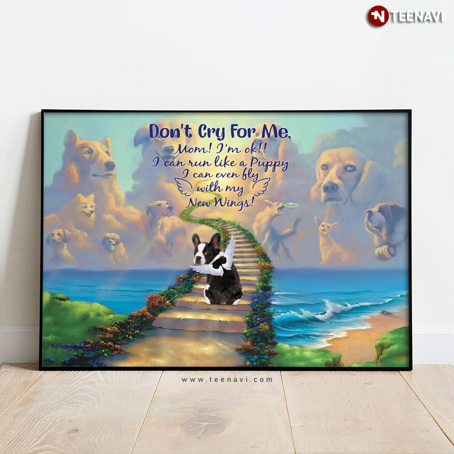 Cute Boston Terrier With Angel Wings Don’t Cry For Me, Mom! I’m Ok! I Can Run Like A Puppy! Poster
