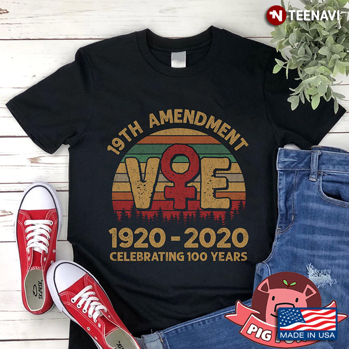 19TH Amendment 1920 -2020 Celebrating 100 Years Vintage