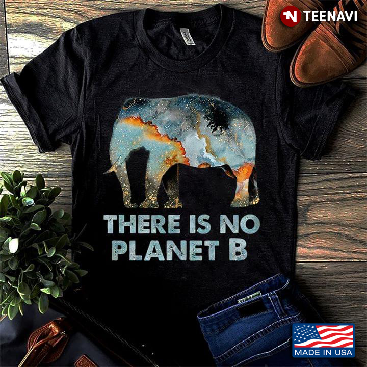 There Is No Planet B Elephant Vision Earth