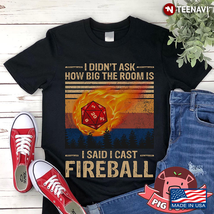 I Didn’t Ask How Big The Room Is I Said I Cast Fireball New Ver
