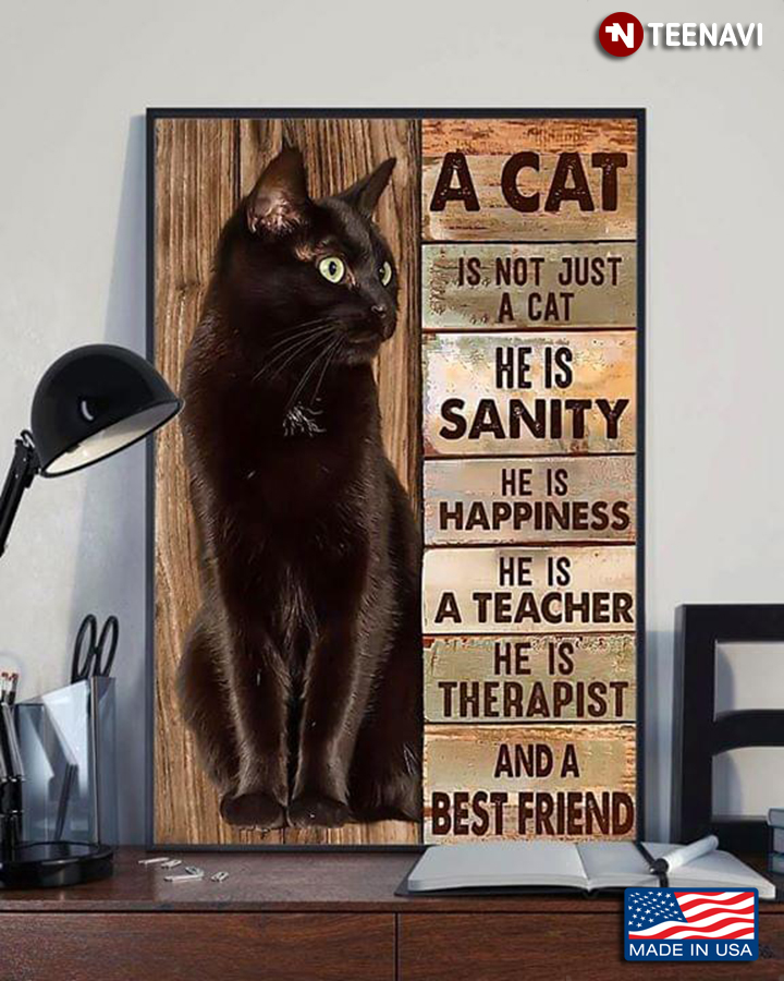 Vintage Black Cat A Cat Is Not Just A Cat He Is Sanity He Is Happiness