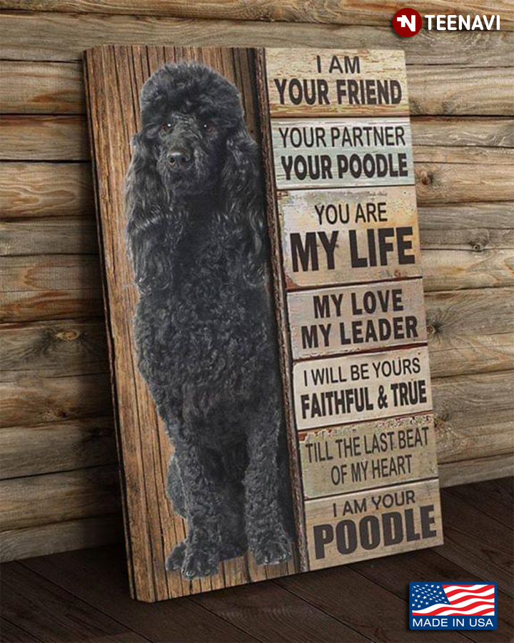 Cool Poodle I Am Your Friend Your Partner Your Poodle You Are My Life My Love My Leader